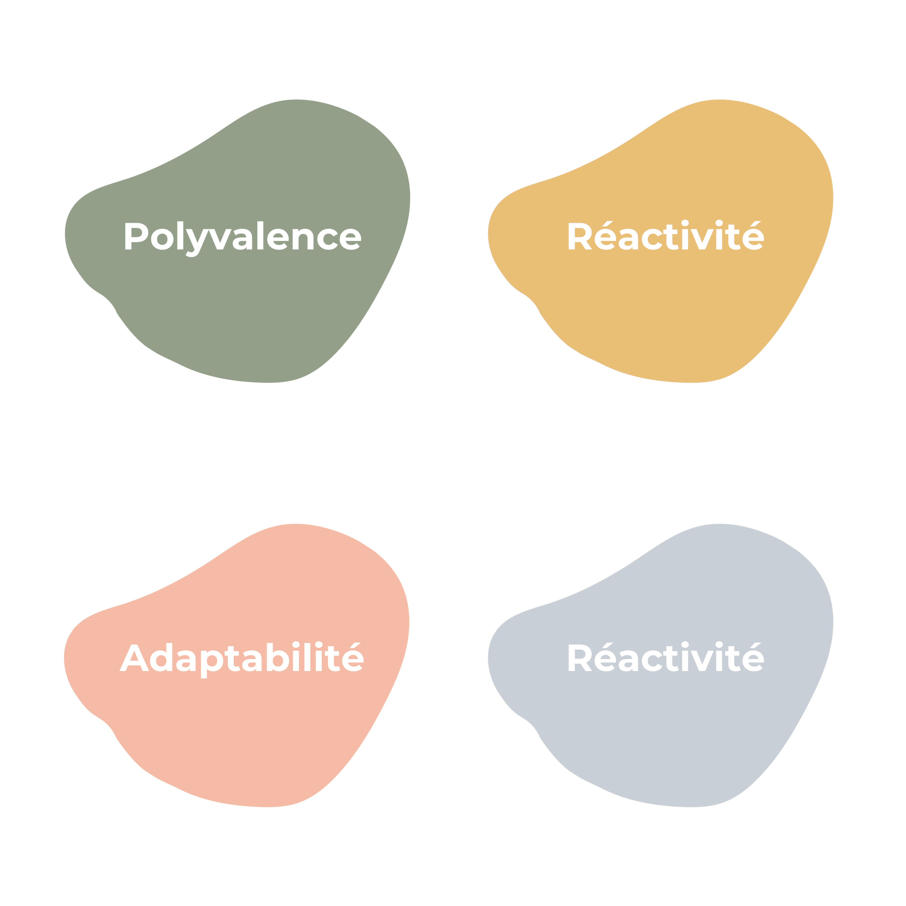 Polyvalence 3000px